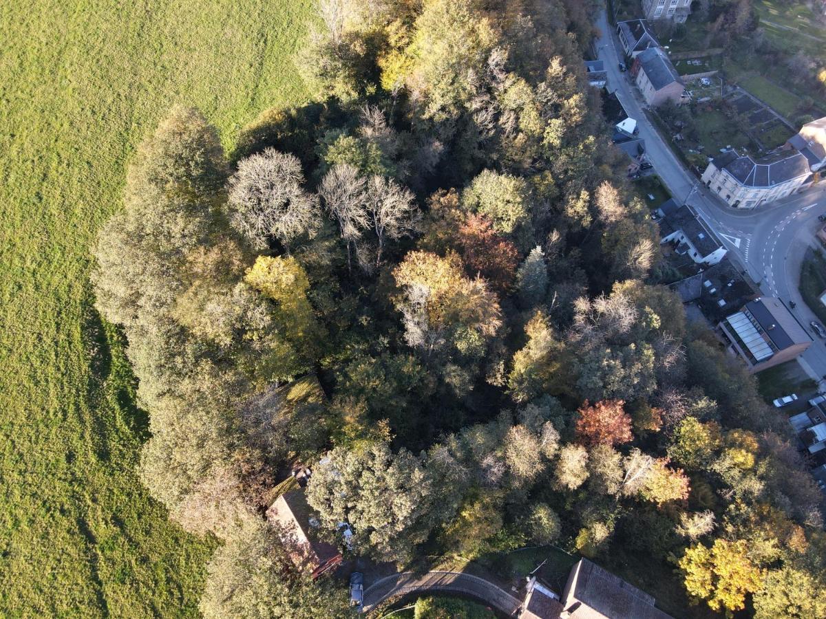 Gites douillets à l’orée des bois. Houyet Extérieur photo